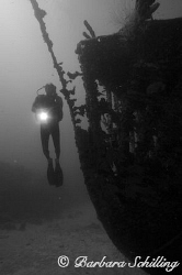 Diver on the wreck of the "Fearless" by Barbara Schilling 